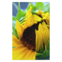 New Mexico Sunflower Stationery Paper