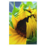 New Mexico Sunflower Stationery Paper