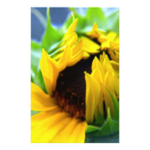 New Mexico Sunflower Stationery Paper