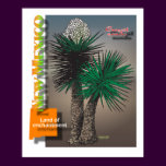 New Mexico yucca map