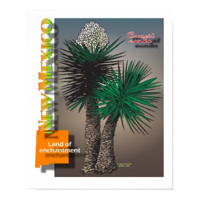 New Mexico yucca map Poster by Duncan_Reed
