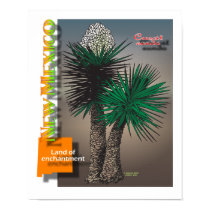 New Mexico yucca map posters
