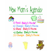 New Mom's Agenda T-Shirt by bwmedia New Mom's Agenda T-Shirt