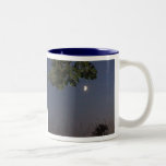 New moon and oak tree mug