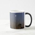 New moon and the summer's wheat mug