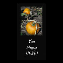 New Orange Pumpkin Photo Card Invitation CUSTOMIZE photo cards