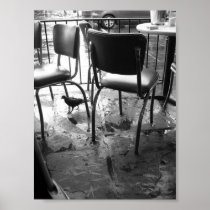 New Orleans after the Rain Posters