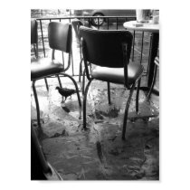 New Orleans after the Rain posters