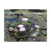 New Orleans Art Museum Postcards