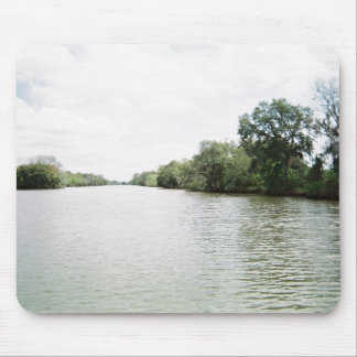 New Orleans Bayou Mouse Pads