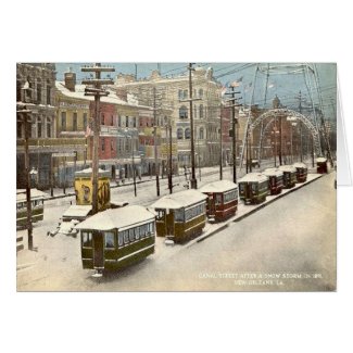 New Orleans Canal St Snow 1885 card