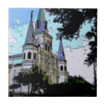 New Orleans Cathedral Old Look Tile