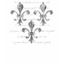 New Orleans Fleur-de-lis Women's Dark Shirt