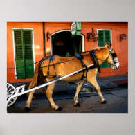 New Orleans French Quarter Carriage Mule Print