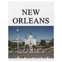 NEW ORLEANS louisiana Flyers