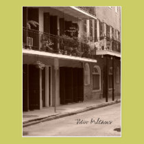 New Orleans Postcard postcards