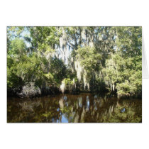 New Orleans Swamp cards