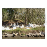 New Orleans Swamp Cemetery New Orleans Swamp Cemetery