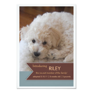 new puppy announcement 180 new puppy invitations new puppy announcements invites zazzle new puppy announcement 180 new puppy invitations new puppy announcements invites zazzle