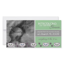 New Pet Adoption Announcement photo cards