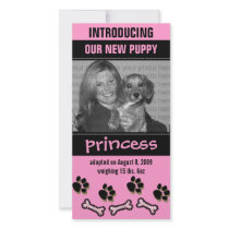 New Pet Adoption Announcement photo cards by noteworthy New Pet Adoption Announcement photo cards