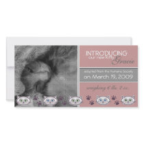 New Pet Adoption Announcement photo cards