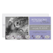 New Pet Birth Announcement photo cards by noteworthy New Pet Birth Announcement photo cards