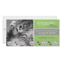 New Pet Birth Announcement photo cards by noteworthy New Pet Birth Announcement photo cards