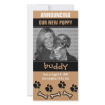 New Pet Birth Announcement photo cards by noteworthy New Pet Birth Announcement photo cards
