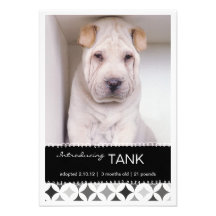 New Pet Retro Circles B&W Photo Announcement