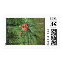 new pinecone postage