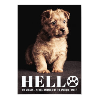 puppy announcement adoption invitations announcements zazzle puppy announcement adoption invitations announcements zazzle