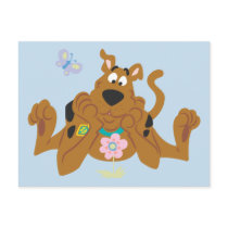 New Scooby Doo Review Pose 40 Post Cards