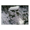 New Snow Sculpture cards by kchwxdr New Snow Sculpture cards