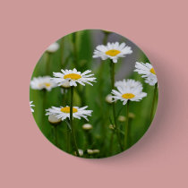 New Spring Daisies buttons