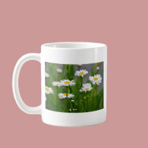 New Spring Daisies mugs
