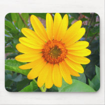 New Sunflower mousepads