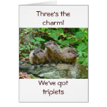 New Triplets Announcement - Three Baby Groundhogs Card