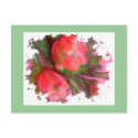 New Tulips postcard by Mypic4all New Tulips postcard