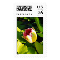 New Waterlily Bloom postage by princessklb07 New Waterlily Bloom postage