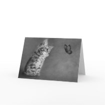 New Wonders Kitten Greeting Card by zindyzone New Wonders Kitten Greeting Card