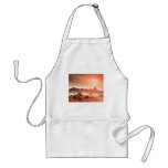 New World aprons