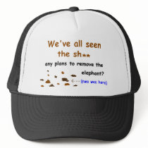 'New' World Order Hat