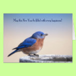 New Year Bluebird cards