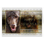 New Year - Golden Elegance - Poodle - Chocolate Greeting Cards