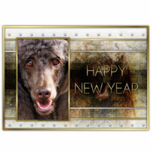 New Year - Golden Elegance - Poodle - Chocolate Photo Cut Out