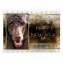 New Year - Golden Elegance - Poodle - Chocolate Postcards