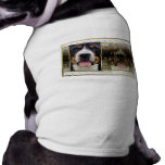 New Year - Golden Elegance - Swissie Doggie Tee Shirt