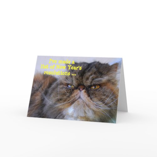 New Year's Resolutions Calico Persian Kitty Card card