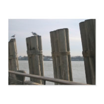 New York - Battery Park Postcard